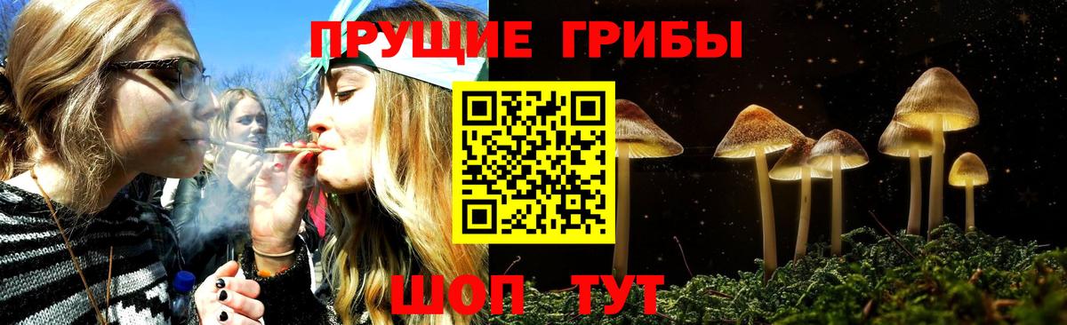 Клинцы  Галлюциногенные грибы мухоморы  Вход с VPN 